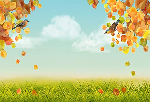 Buy Baocicco 10x6 5ft Autumn Landscape Backdrop Cartoon Yellow Falling Leaves Grass Field Bird Photography Background Camping Party Birthday Party Baby Girls Boys Portrait Studio Online At Low Price In India Baocicco