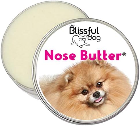 pomeranian breathing fast