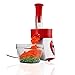 KitchenPRO 2 in 1 Elite Frozen Healthy Dessert Maker and Salad Shooter Electric Slicer Shredder 5 blades