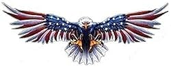 MFX Design Flying Eagle with Us Flag On Wings