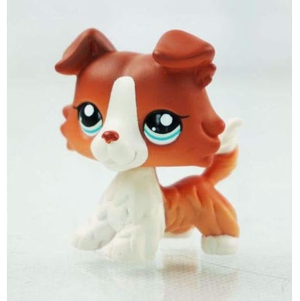 lps collie different eyes