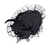 BinaryABC Halloween Witch Hat Headband for Halloween Costume Dress up Party Supplies (Black)