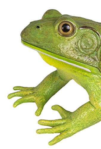 Safari Ltd  Incredible Creatures American Bullfrog