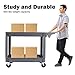 Goplus Plastic Service Cart Utility Storage Cart for All Purpose 550 LBS Capacity (2 Shelves 46