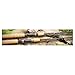 St. Croix TRS70MLF2 Triumph 2-Piece Graphite Spinning Fishing Rod with Cork Handle, 7-feet
