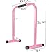 Titan Fitness Pink Dip Stand Station, Adjustable Height Upper Body Stabilizer Parallettes, Rated 300 LB for Tricep Dips, Pull-Ups, Push-Ups, L-Sits