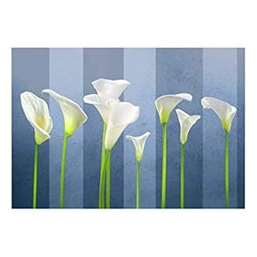 Arum Lilies with Blue Striped Textured Background - Wall Mural, Removable Sticker, Home Decor - 66x96 inches