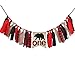 lumberjack party banner (highchair banner)