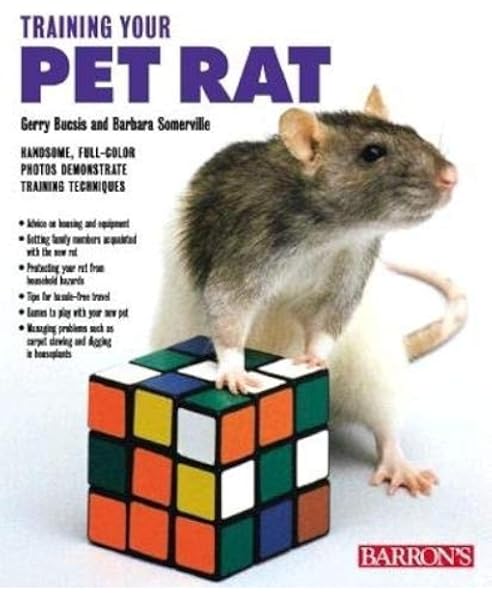 white labrador for sale near me