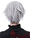 Aplus - Tokyo Ghoul Anime Ken Kaneki Cosplay Wig Silver White Hair + Cap (One Size, Silver.)