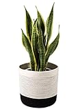 TIMEYARD Woven Cotton Rope Plant Basket for 10" Flower Pot Floor Indoor Planters, 11" x 11" Storage Basket Organizer Modern Home Decor, Black and White Stripes