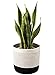 TIMEYARD Woven Cotton Rope Plant Basket for 10" Flower Pot Floor Indoor Planters, 11" x 11" Storage Basket Organizer Modern Home Decor, Black and White Stripes primary