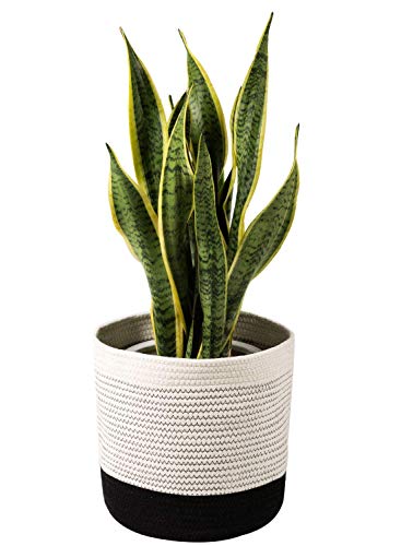 TIMEYARD Woven Cotton Rope Plant Basket for 10" Flower Pot Floor Indoor Planters, 11" x 11" Storage Basket Organizer Modern Home Decor, Black and White Stripes