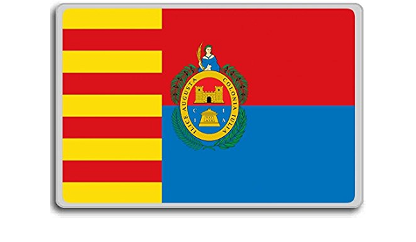 Spain, Elx (Elche) City flag fridge magnet - Calamita da ...