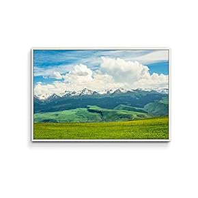 Framed Canvas Wall Art for Living Room, Bedroom Plain Canvas Prints for Home Decoration Ready to Hang - 16x24 inches