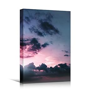 signwin Canvas Wall Art Pink Skies and Clouds...