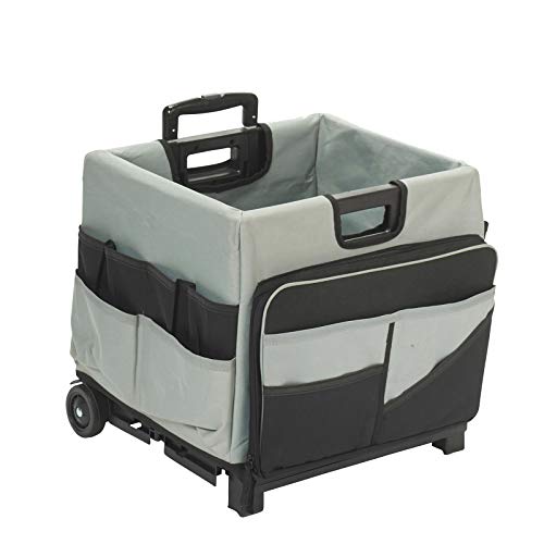 ECR4Kids Universal Rolling Cart with Canvas Organizer Bag, Mobile