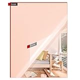Enoin 1 Pack 12 x 16 Inch Rose Gold Mirror Acrylic