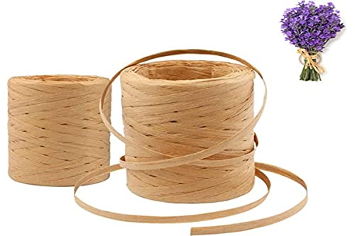 Lot de 2 rouleaux de ruban de papier Rafia, 400 m Rafia Naturelle, Kraft, pour Texture et Jardinage, Guirlandes de Noël, Cartels, emballages, jeux de fleurs, etc.
