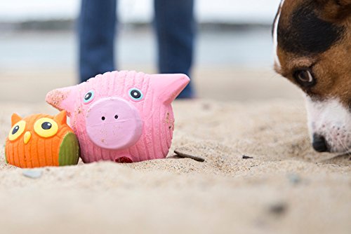 HuggleHounds Extremely Durable and Squeaky Ruff-Tex Hamlet The Pig Pet Toys, Large