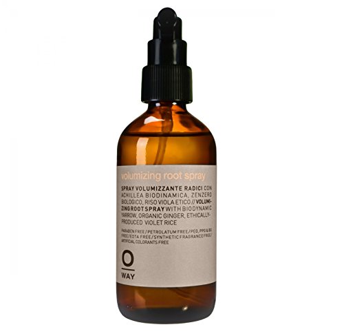 イラスト集: HD限定脳 3d モデル フリー