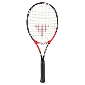 tecnifibre tfight 305 dcs3