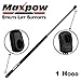 Maxpow Front Hood Struts Lift Support Gas Spring Compatible With Passat 1998-2005, A6 & A6 Quattro 1999-2004 1pc 4989