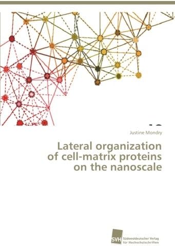Lateral organization of cell-matrix proteins on the nanoscale