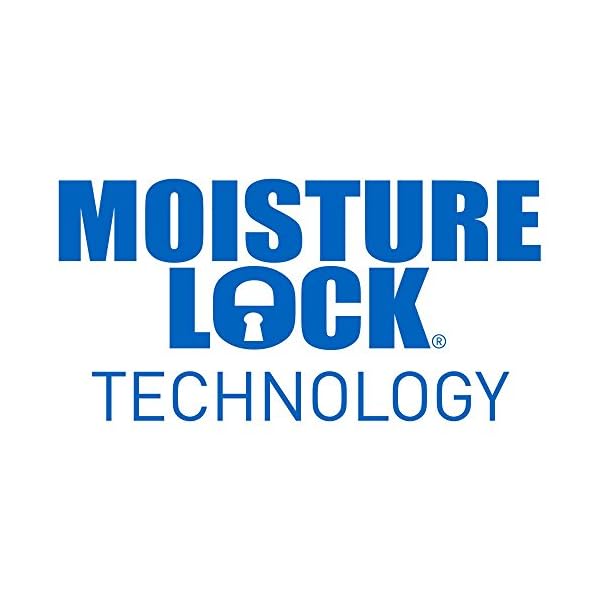 OUT! Go Here Absorbent Pet and Puppy Training Pads |100 Pads