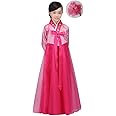 CBTRFASHION Korean Girls Kids Children Hanbok Costume Dress Outfit Set