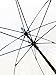 SMATI Paris - Lady’s Clear Big Birdcage Umbrella in black border – Transparent; Windproof; Auto open; Crystal style handle; French design; Dome shape umbrella