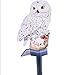 Evelots White Owl Solar LED Lawn & Garden Light, Keep Birds & Squirrels Away