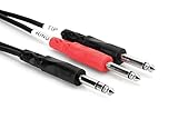 Hosa STP-204 1/4 inch TRS to Dual 1/4 inch TS Insert Cable, 13.1 feet (Electronics)
