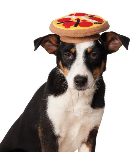 Rubies Costume Company Pizza Hat for Pets