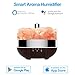 Signstek 400ML Ultrasonic Diffuser Aromatherapy Voice Control with Alexa and Google Assistant 7 Color Salt Lamp Essential Oil Diffuser Auto Shut Off Sleeping Lamp for Office, Home, Bedroom