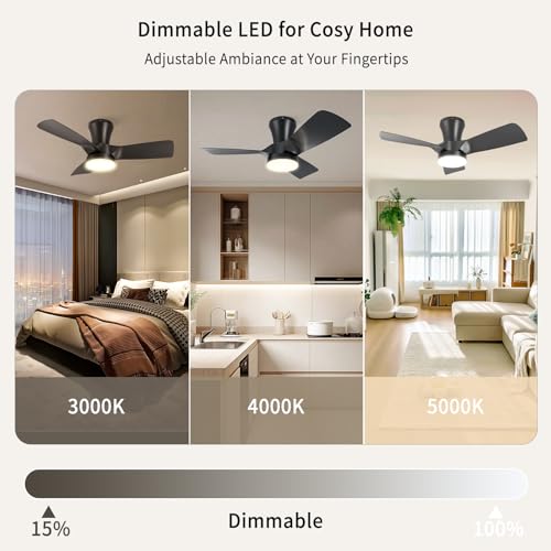 Ceiling Fan with Light and Control 80 cm for Low Ceilings, Silent DC Motor with Memory, 6 Speeds, Adjustable 3000-6000K, Timer, Reversible Summer/Winter, for Bedroom Living Room, Black
