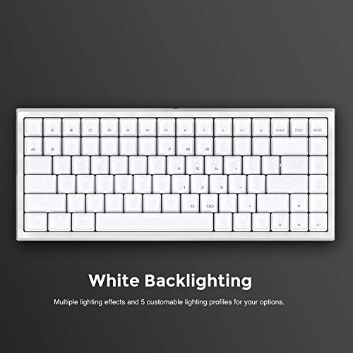 DREVO Gramr Teclado Mecánico con Cable USB, Tipo TKL, 84 Teclas, Retroiluminación LED Blanca, Tamaño 75%, Interruptores Cherry MX Marrón - Imagen 8