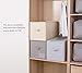 iwill CREATE PRO Large Closet Storage Box with Lid, Similar Size with IKEA SKUBB, Label Pocket, Beige