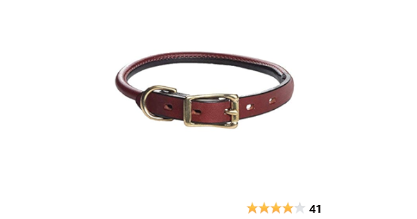 amazon rolled leather dog collar