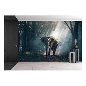 Elephants in The Forest