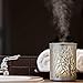 Enduring Decor Forest Aromatherapy Essential Oil Diffuser - Modern Metal & Glass Design. Remote Controlled Operation, Bright & Candle Modes & Soothing Cool Mist. Adjustable Mist Mode & Auto Shut-Off