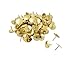 Hamosky Thumb Tacks Round Head Push Pins Office Drawing Pins for Home,School,Brass/Gold Color,Pack of 100 Pieces