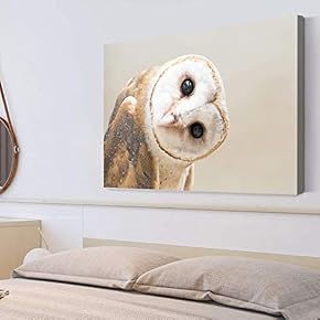 Canvas Wall Art Adorable Funny Owl Canvas Painting Wall Poster Decor for Living Room Framed Home Decorations - 12x18 inches