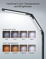 LED Desk Lamp with Clamp, Dual Light Desk Lamp for