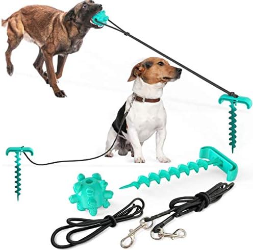 leash anchor