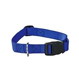 Guardian Gear Nylon Adjustable Dog Collar with Plastic Buckles, 3/4-Inch, Blue, My Pet Supplies