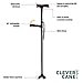Clever Cane
