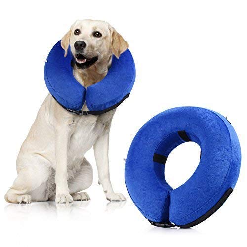 The Best Inflatable Cone For Dogs of 2019 Top 10, Best Value, Best