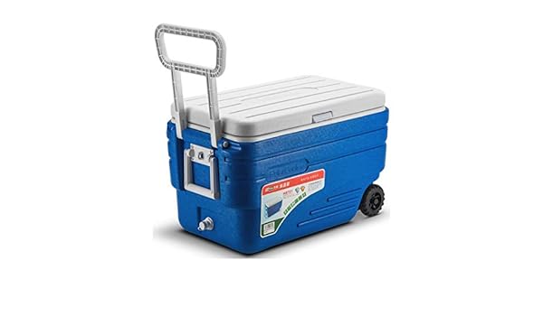 ZAIHW 47L balanceo Ice Cool Box Nevera portátil Bebidas contenedor ...