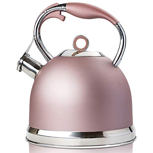 Tea Kettle Best 3 Liter induction Modern Stainless Steel Surgical